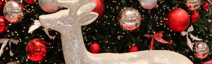 Vote for Your Favorites in the West Asheville Holiday Window Decorating Contest Vote for Your Favorites in the West Asheville Holiday Window Decorating Contest