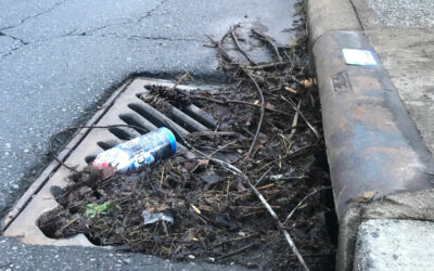 JOIN THE ADOPT-A-STORM DRAIN PROGRAM TODAY!   